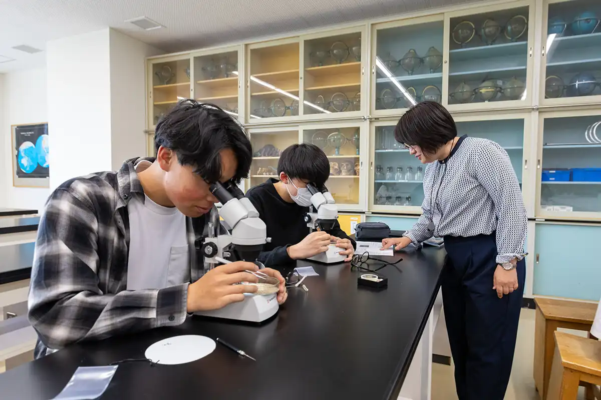 3年次の学び