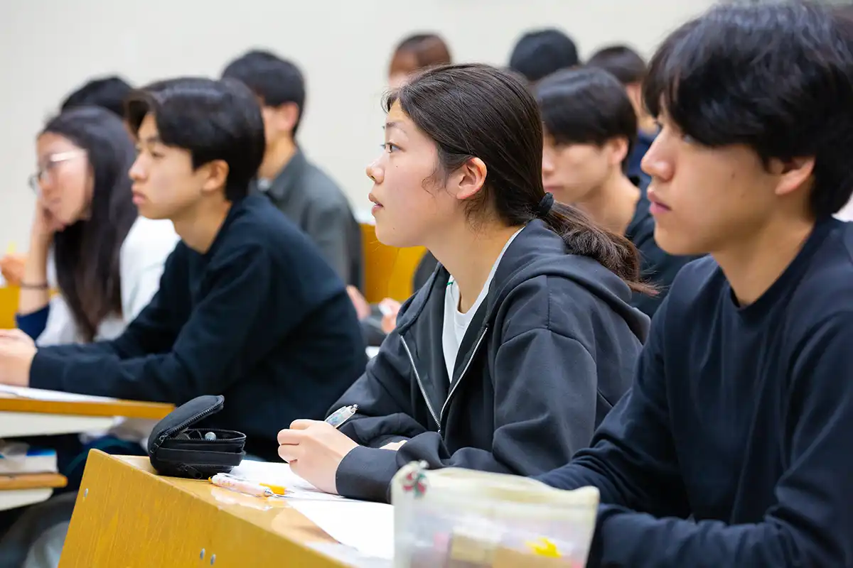 3年次の学び