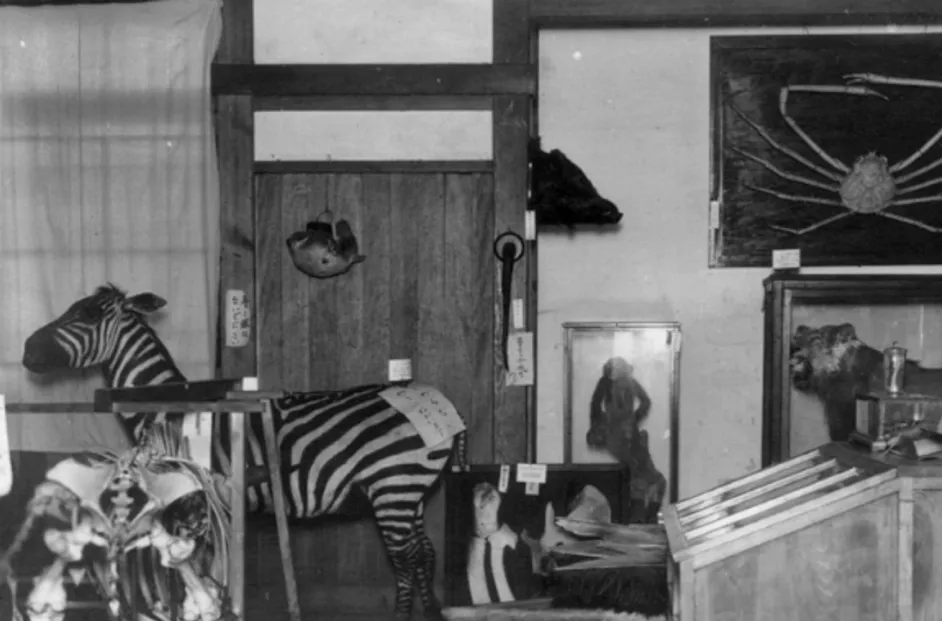 理科教室竣工（～1991）