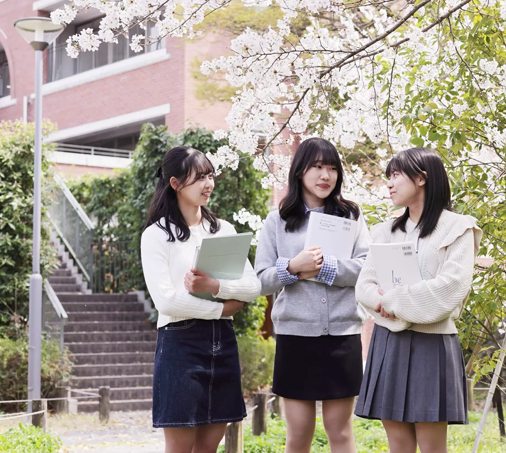 年間スケジュール